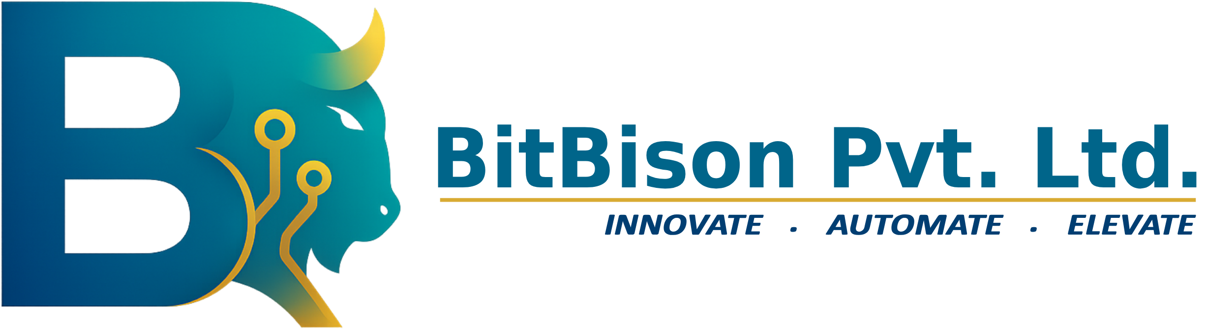 Bit Bison Pvt. Ltd. Electronic Product Design